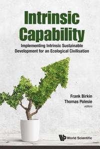 bokomslag Intrinsic Capability: Implementing Intrinsic Sustainable Development For An Ecological Civilisation