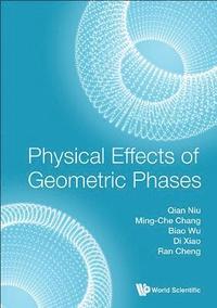 bokomslag Physical Effects Of Geometric Phases