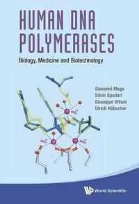 bokomslag Human Dna Polymerases: Biology, Medicine And Biotechnology