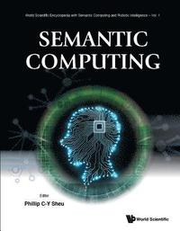 bokomslag Semantic Computing