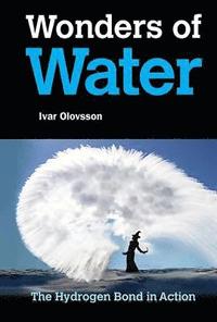 bokomslag Wonders Of Water: The Hydrogen Bond In Action
