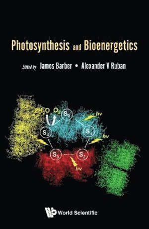 bokomslag Photosynthesis And Bioenergetics