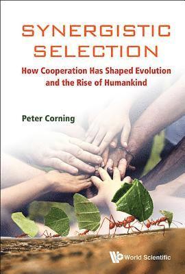 bokomslag Synergistic Selection: How Cooperation Has Shaped Evolution And The Rise Of Humankind