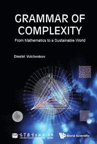 bokomslag Grammar Of Complexity: From Mathematics To A Sustainable World