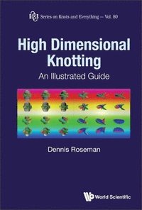 bokomslag High Dimensional Knotting: An Illustrated Guide