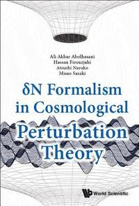 bokomslag Delta N Formalism In Cosmological Perturbation Theory