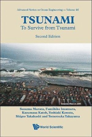 Tsunami: To Survive From Tsunami 1