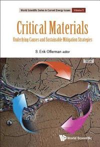 bokomslag Critical Materials: Underlying Causes And Sustainable Mitigation Strategies