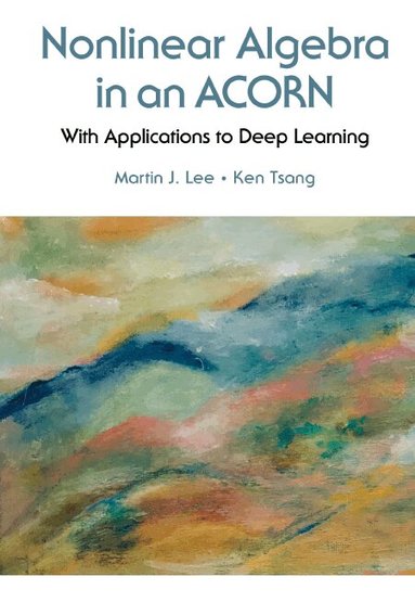 Martin J Lee, Ken Tsang - NONLINEAR ALGEBRA IN AN ACORN: WITH APPLICATIONS TO DEEP LEARNING, Inbunden