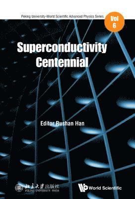 bokomslag Superconductivity Centennial