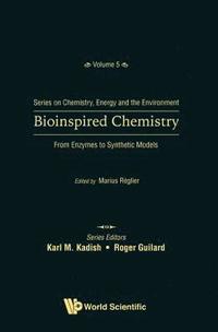 bokomslag Bioinspired Chemistry: From Enzymes To Synthetic Models