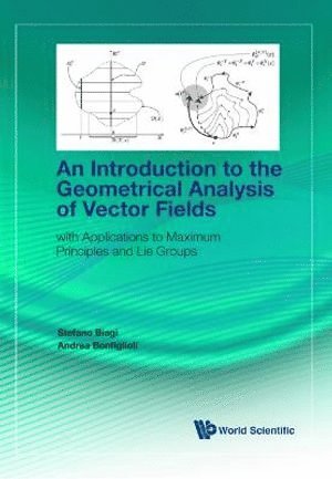 Introduction To The Geometrical Analysis Of Vector Fields, An: With Applications To Maximum Principles And Lie Groups 1