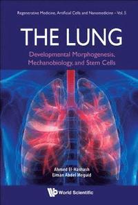 bokomslag Lung, The: Developmental Morphogenesis, Mechanobiology, And Stem Cells