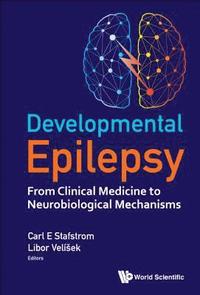 bokomslag Developmental Epilepsy: From Clinical Medicine To Neurobiological Mechanisms