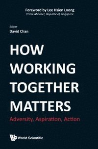 bokomslag How Working Together Matters: Adversity, Aspiration, Action