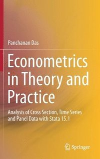 bokomslag Econometrics in Theory and Practice