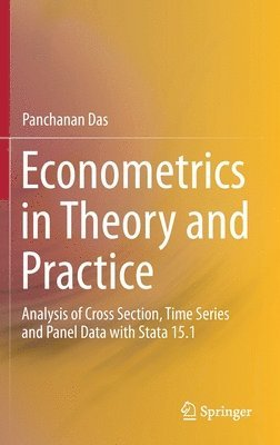 bokomslag Econometrics in Theory and Practice