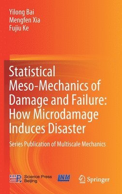 bokomslag Statistical Meso-Mechanics of Damage and Failure: How Microdamage Induces Disaster