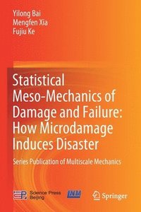 bokomslag Statistical Meso-Mechanics of Damage and Failure: How Microdamage Induces Disaster