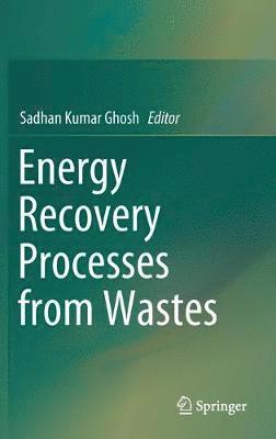 Energy Recovery Processes from Wastes 1