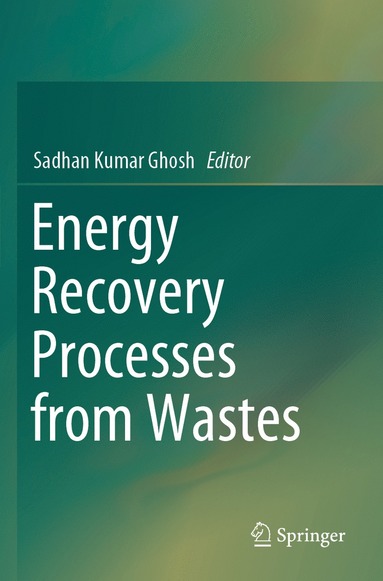 bokomslag Energy Recovery Processes from Wastes