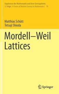 bokomslag MordellWeil Lattices