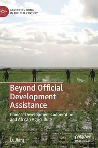 bokomslag Beyond Official Development Assistance