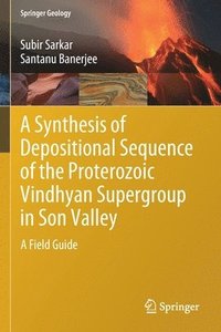 bokomslag A Synthesis of Depositional Sequence of the Proterozoic Vindhyan Supergroup in Son Valley