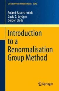 bokomslag Introduction to a Renormalisation Group Method