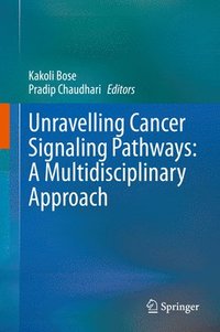 bokomslag Unravelling Cancer Signaling Pathways: A Multidisciplinary Approach