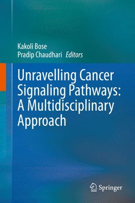 bokomslag Unravelling Cancer Signaling Pathways: A Multidisciplinary Approach