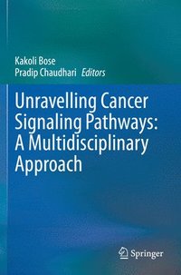 bokomslag Unravelling Cancer Signaling Pathways: A Multidisciplinary Approach