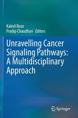 Unravelling Cancer Signaling Pathways: A Multidisciplinary Approach 1