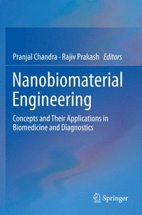 bokomslag Nanobiomaterial Engineering