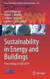 bokomslag Sustainability in Energy and Buildings
