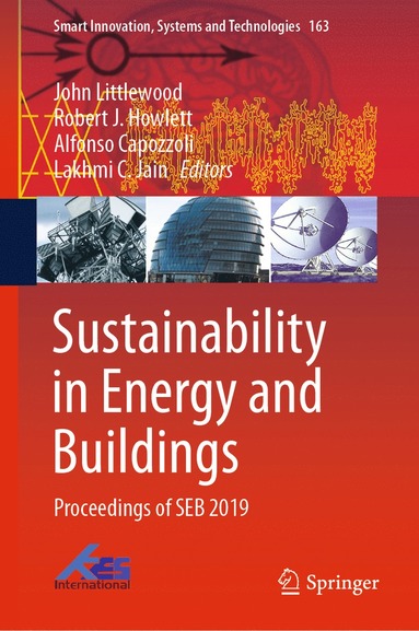 bokomslag Sustainability in Energy and Buildings