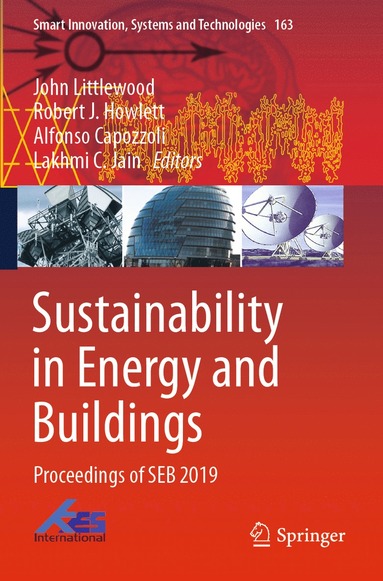 bokomslag Sustainability in Energy and Buildings