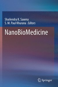 bokomslag NanoBioMedicine