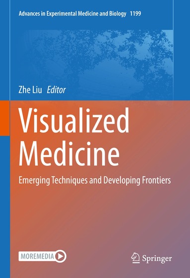 Zhe Liu - Visualized Medicine, Inbunden