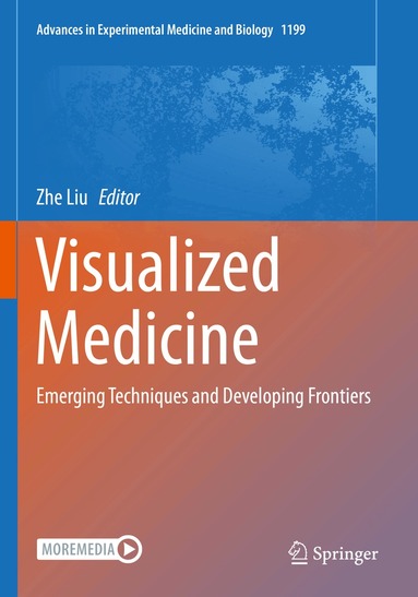 Zhe Liu - Visualized Medicine, Häftad