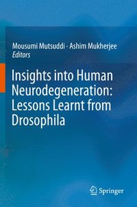 bokomslag Insights into Human Neurodegeneration: Lessons Learnt from Drosophila