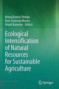 bokomslag Ecological Intensification of Natural Resources for Sustainable Agriculture