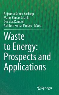 bokomslag Waste to Energy: Prospects and Applications