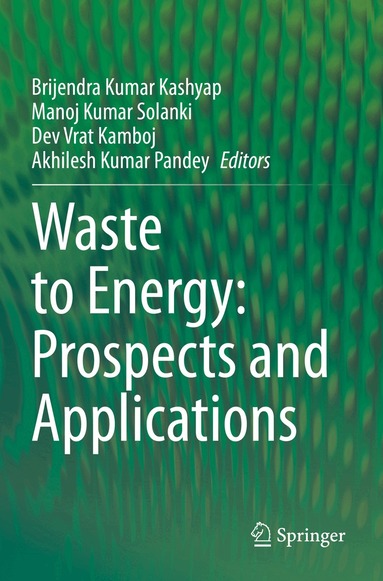 Brijendra Kumar Kashyap, Manoj Kumar Solanki, Dev Vrat Kamboj, Akhilesh Kumar Pandey - Waste to Energy: Prospects and Applications, Häftad