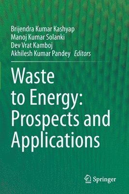 Brijendra Kumar Kashyap, Manoj Kumar Solanki, Dev Vrat Kamboj, Akhilesh Kumar Pandey - Waste to Energy: Prospects and Applications, Häftad