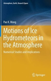 bokomslag Motions of Ice Hydrometeors in the Atmosphere