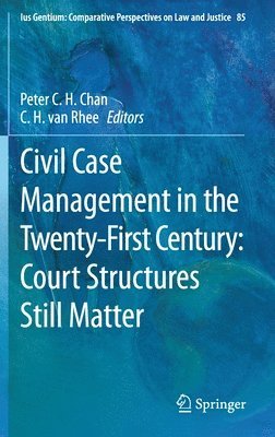 bokomslag Civil Case Management in the Twenty-First Century: Court Structures Still Matter