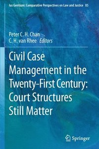 bokomslag Civil Case Management in the Twenty-First Century: Court Structures Still Matter