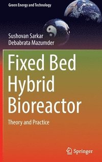 bokomslag Fixed Bed Hybrid Bioreactor