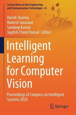 Intelligent Learning for Computer Vision 1
